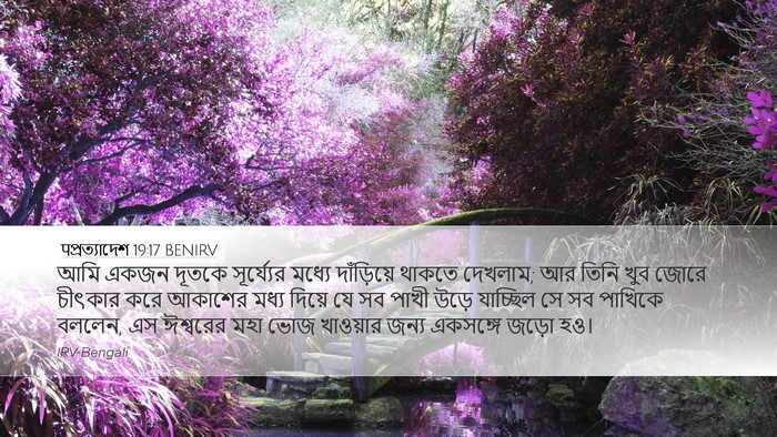 पপ্রত্যাদেশ 19:17 BENIRV Bible Verse Image