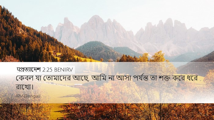 पপ্রত্যাদেশ 2:25 BENIRV Bible Verse Image