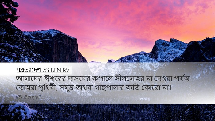 पপ্রত্যাদেশ 7:3 BENIRV Bible Verse Image