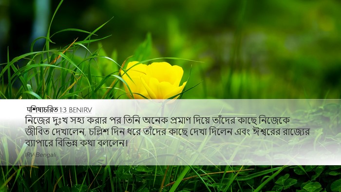 पশিষ্যচরিত 1:3 BENIRV Bible Verse Image