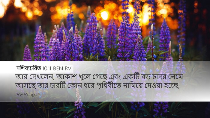 पশিষ্যচরিত 10:11 BENIRV Bible Verse Image