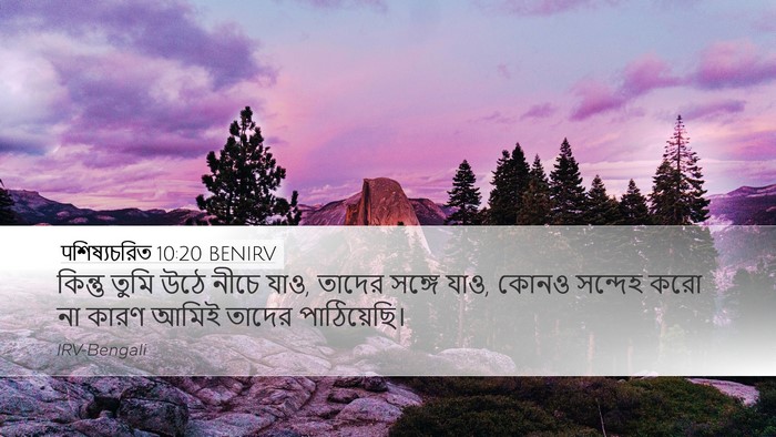 पশিষ্যচরিত 10:20 BENIRV Bible Verse Image