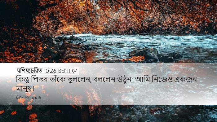 पশিষ্যচরিত 10:26 BENIRV Bible Verse Image