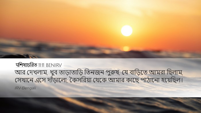 पশিষ্যচরিত 11:11 BENIRV Desktop Wallpaper - আর দেখলাম, খুব - Desktop Bible Verse Wallpaper