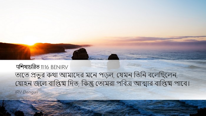 पশিষ্যচরিত 11:16 BENIRV Bible Verse Image