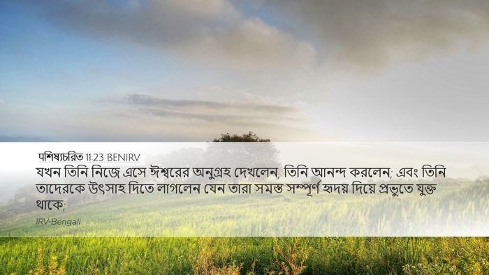 पশিষ্যচরিত 11:23 BENIRV Bible Verse Image