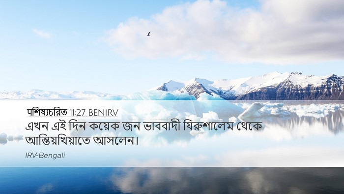 पশিষ্যচরিত 11:27 BENIRV Bible Verse Image