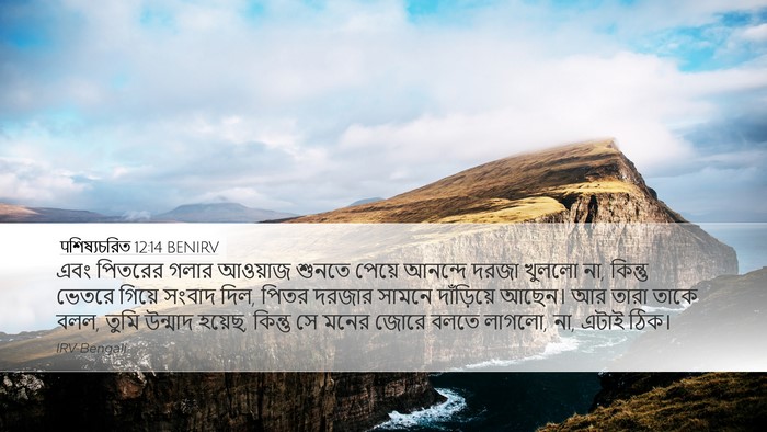 पশিষ্যচরিত 12:14 BENIRV Desktop Wallpaper - এবং পিতরের গলার - Desktop Bible Verse Wallpaper