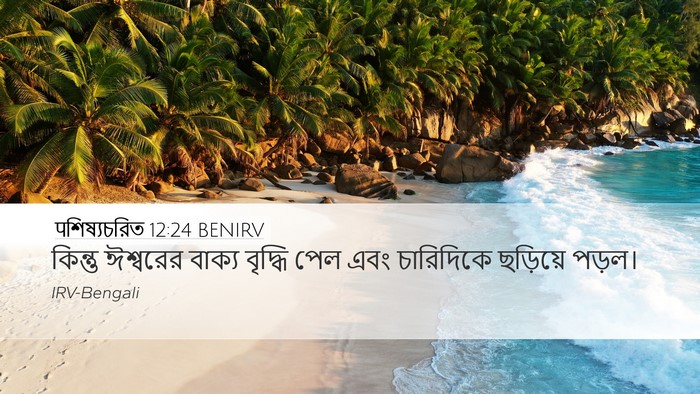 पশিষ্যচরিত 12:24 BENIRV Bible Verse Image