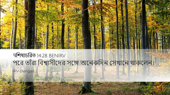 पশিষ্যচরিত 14:28 BENIRV Bible Verse Image