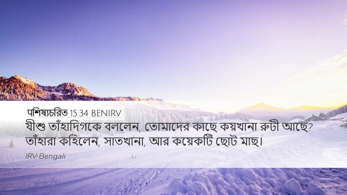 पশিষ্যচরিত 15:34 BENIRV Desktop Wallpaper - যীশু তাঁহাদিগকে - Desktop Bible Verse Wallpaper