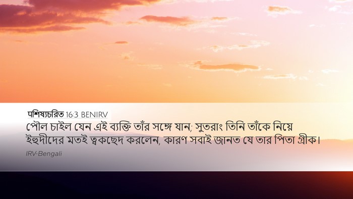 पশিষ্যচরিত 16:3 BENIRV Bible Verse Image