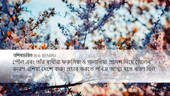 पশিষ্যচরিত 16:6 BENIRV Bible Verse Image