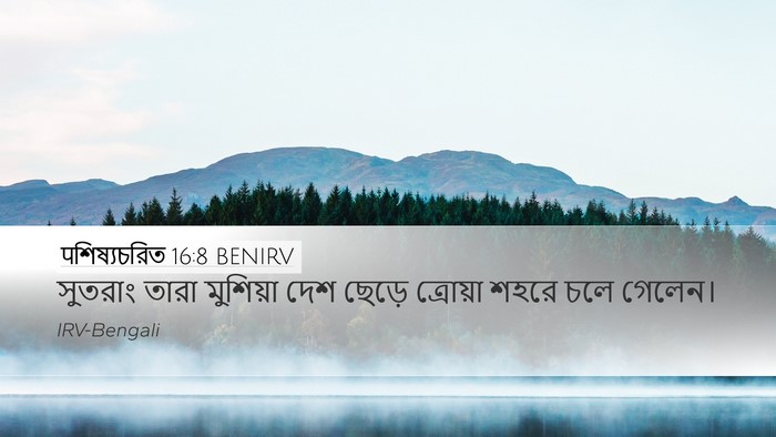 पশিষ্যচরিত 16:8 BENIRV Bible Verse Image