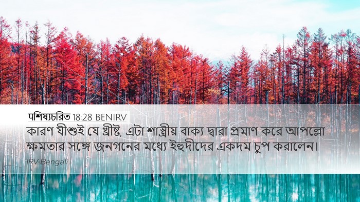 पশিষ্যচরিত 18:28 BENIRV Bible Verse Image