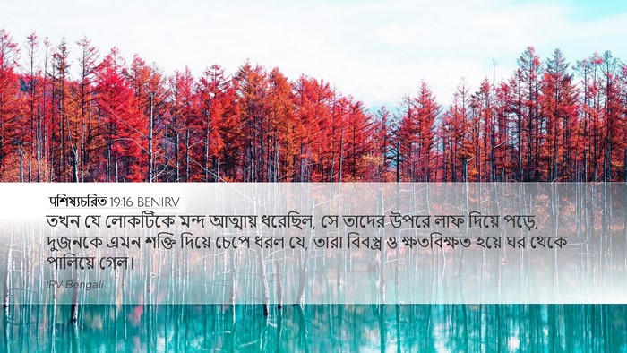 पশিষ্যচরিত 19:16 BENIRV Bible Verse Image
