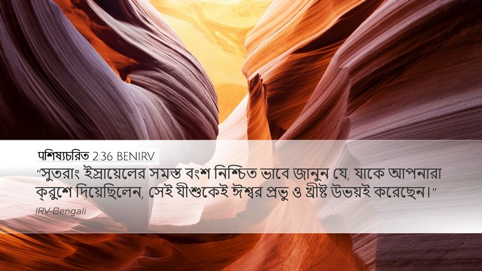 पশিষ্যচরিত 2:36 BENIRV Bible Verse Image