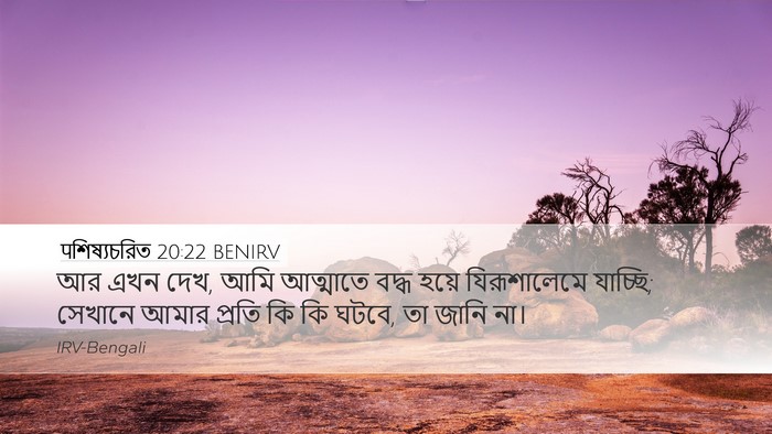 पশিষ্যচরিত 20:22 BENIRV Bible Verse Image