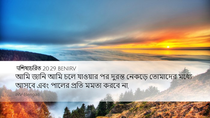 पশিষ্যচরিত 20:29 BENIRV Bible Verse Image