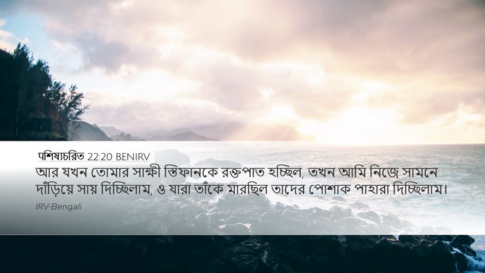 पশিষ্যচরিত 22:20 BENIRV Bible Verse Image