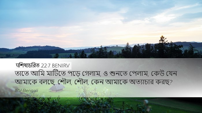 पশিষ্যচরিত 22:7 BENIRV Bible Verse Image