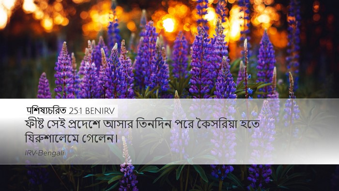 पশিষ্যচরিত 25:1 BENIRV Bible Verse Image