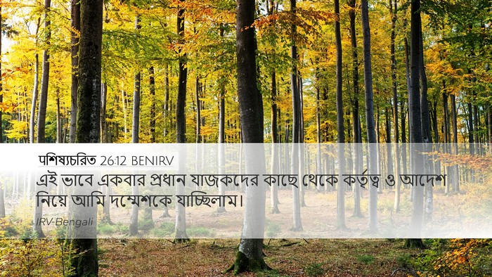 पশিষ্যচরিত 26:12 BENIRV Bible Verse Image