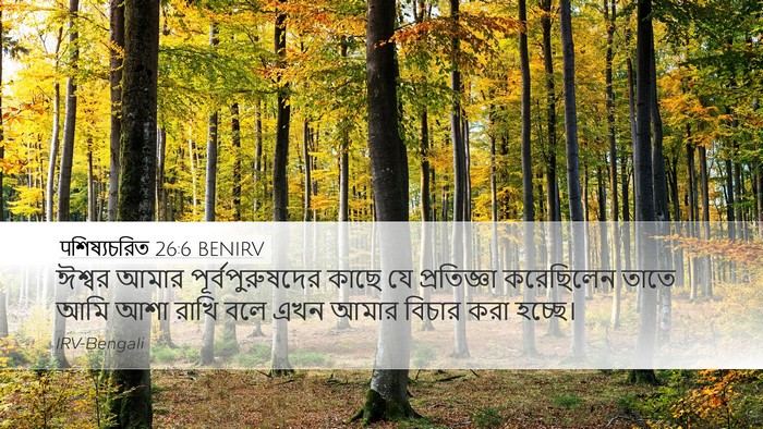 पশিষ্যচরিত 26:6 BENIRV Bible Verse Image