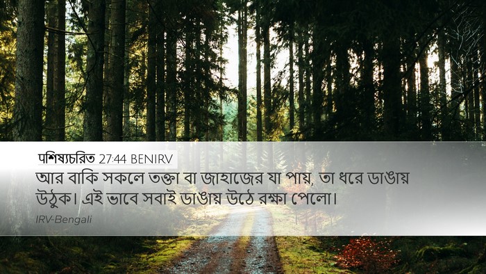 पশিষ্যচরিত 27:44 BENIRV Bible Verse Image