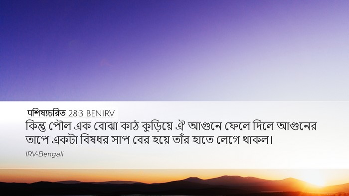 पশিষ্যচরিত 28:3 BENIRV Bible Verse Image