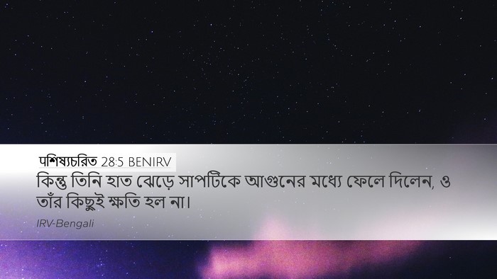पশিষ্যচরিত 28:5 BENIRV Bible Verse Image