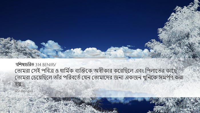 पশিষ্যচরিত 3:14 BENIRV Bible Verse Image
