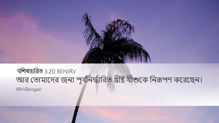 पশিষ্যচরিত 3:20 BENIRV Desktop Wallpaper - আর তোমাদের জন্য - Desktop Bible Verse Wallpaper