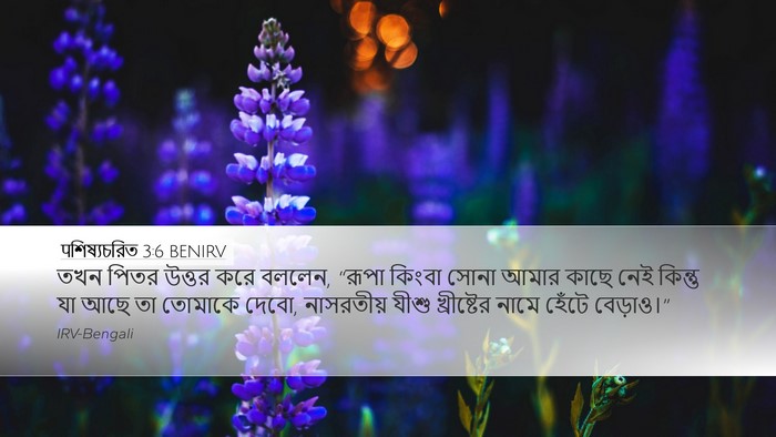 पশিষ্যচরিত 3:6 BENIRV Bible Verse Image