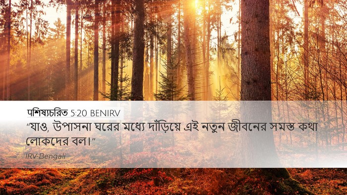 पশিষ্যচরিত 5:20 BENIRV Bible Verse Image