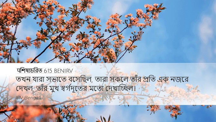 पশিষ্যচরিত 6:15 BENIRV Bible Verse Image