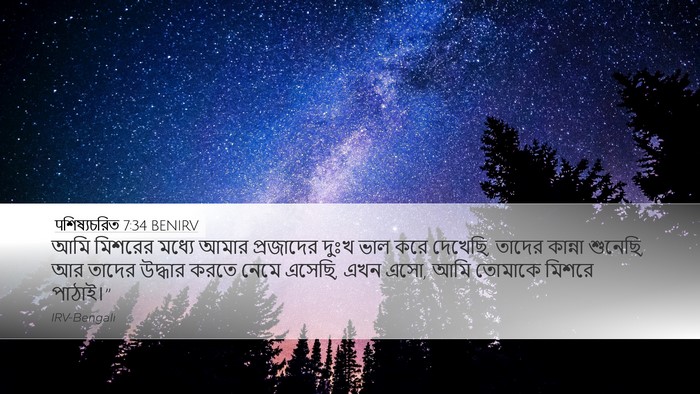 पশিষ্যচরিত 7:34 BENIRV Bible Verse Image