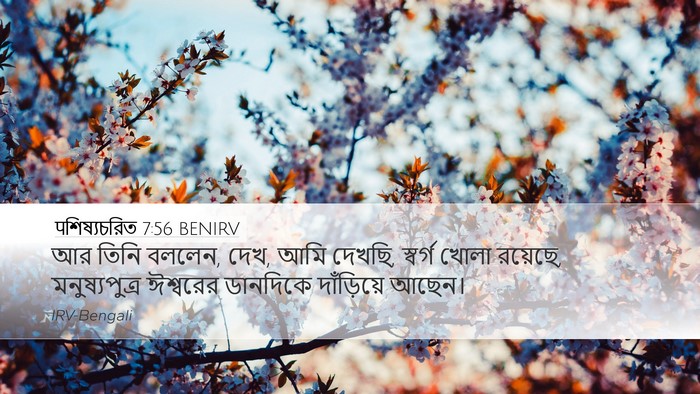 पশিষ্যচরিত 7:56 BENIRV Bible Verse Image