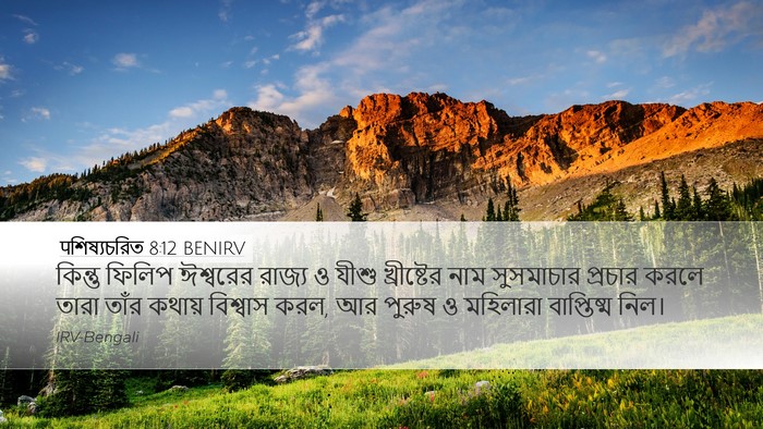 पশিষ্যচরিত 8:12 BENIRV Bible Verse Image