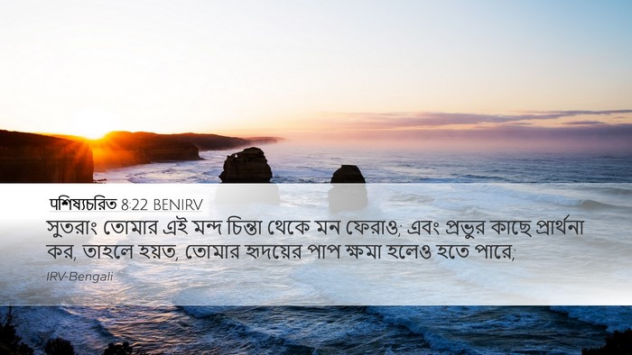 पশিষ্যচরিত 8:22 BENIRV Bible Verse Image