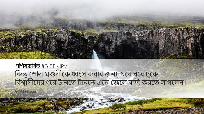 पশিষ্যচরিত 8:3 BENIRV Bible Verse Image
