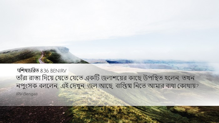 पশিষ্যচরিত 8:36 BENIRV Bible Verse Image