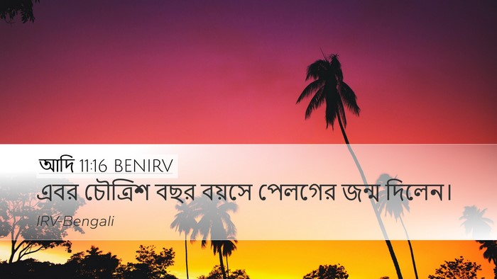 আদি 11:16 BENIRV Bible Verse Image
