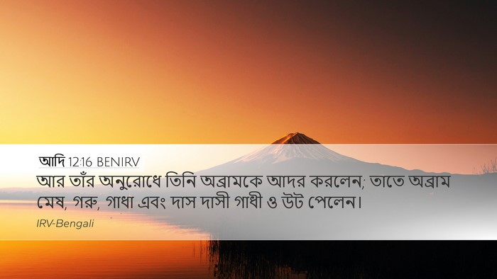 আদি 12:16 BENIRV Bible Verse Image