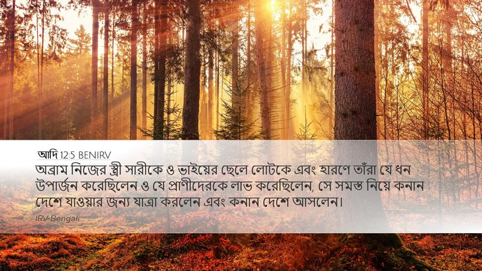 আদি 12:5 BENIRV Bible Verse Image