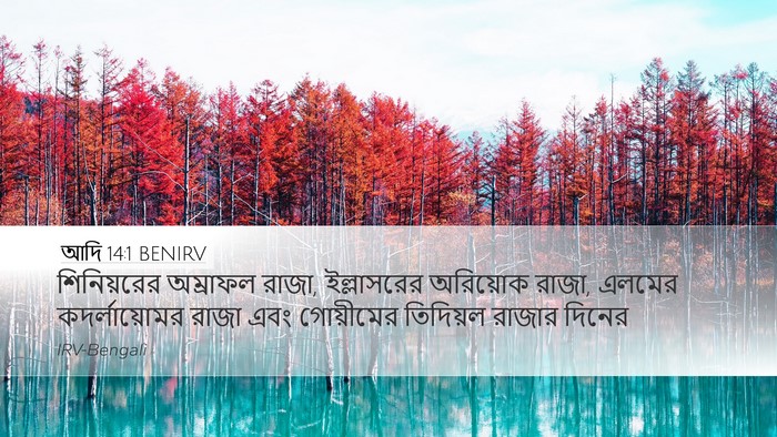 আদি 14:1 BENIRV Desktop Wallpaper - শিনিয়রের অম্রাফল - Desktop Bible Verse Wallpaper