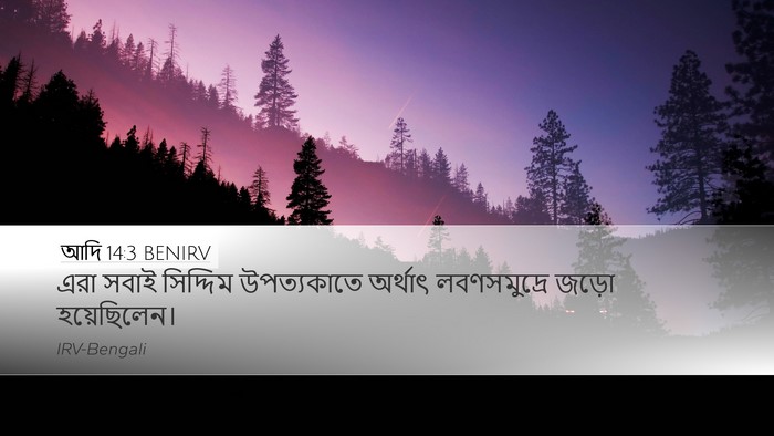 আদি 14:3 BENIRV Bible Verse Image