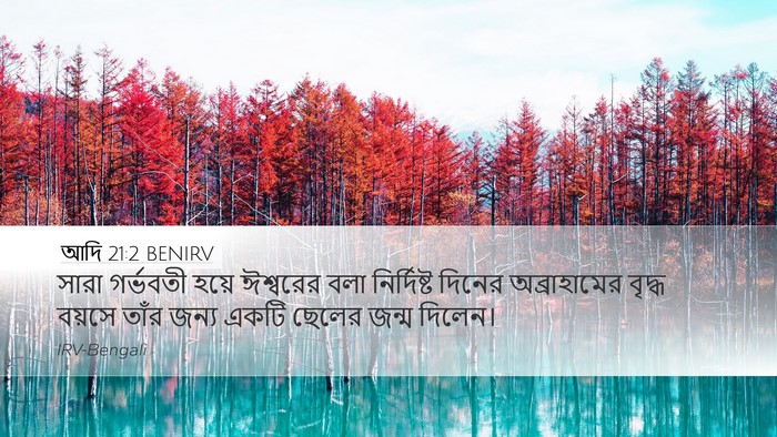 আদি 21:2 BENIRV Bible Verse Image