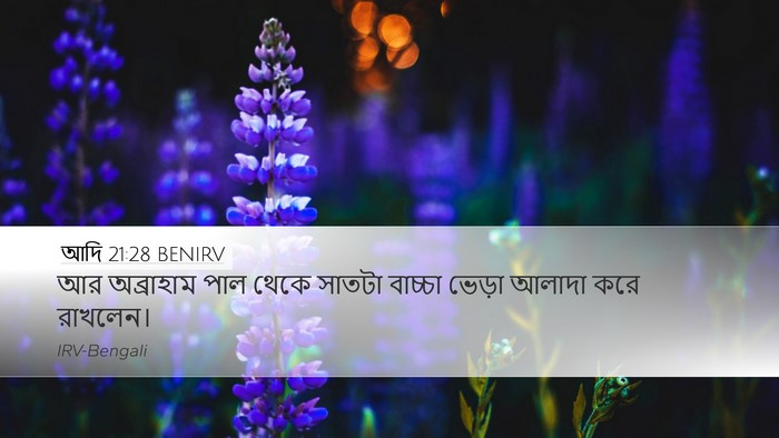 আদি 21:28 BENIRV Desktop Wallpaper - আর অব্রাহাম পাল - Desktop Bible Verse Wallpaper