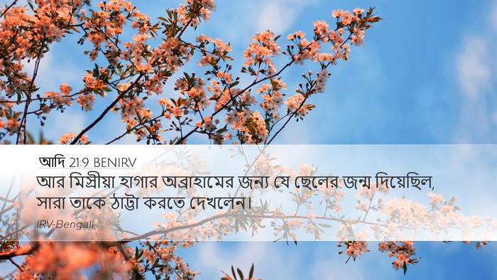 আদি 21:9 BENIRV Bible Verse Image